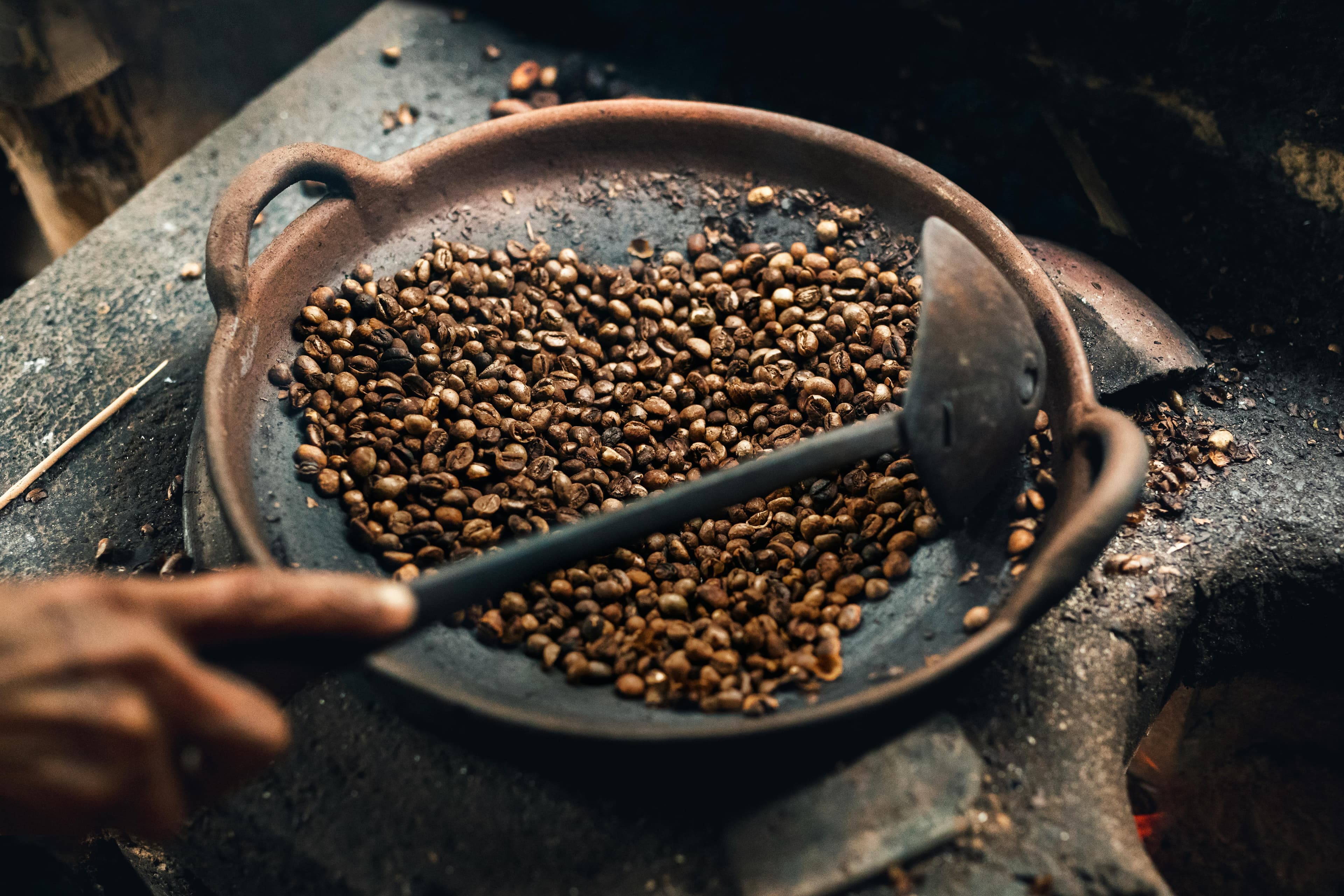 Kopi Luwak: Bali's Controversial & Curious Coffee